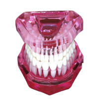 Standard Model Inclined Plate Pink M7002