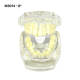 #8 Transparent Malocclusion Orthodontic Demonstration Model M3014
