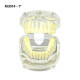 Transparent Malocclusion Correction Demonstration Model M3014 No.1