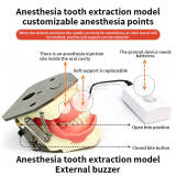 M8020 Dental Anesthesia Injection Practice Model External Buzzer & LED Light Openable Jaw Replaceable Gingiva Dental Teaching