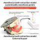 M8020 Dental Anesthesia Injection Practice Model External Buzzer & LED Light Openable Jaw Replaceable Gingiva Dental Teaching