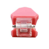 M7003 Standard Dental Typodont Model with Slant Plate Orthodontic Teaching Demo