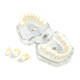Adult Tooth Extraction Standard Typodont Model Transparent Clear Removable Soft Teeth Dental Training Study (M7008/4004)