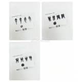 11PCS Dental Matrix Film Practice Sheets, Dental Restorative Training Material