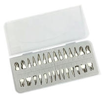 M8017 Dental Orthodontic Practice Model, 28pcs Stainless Steel Replacement Teeth Typodont