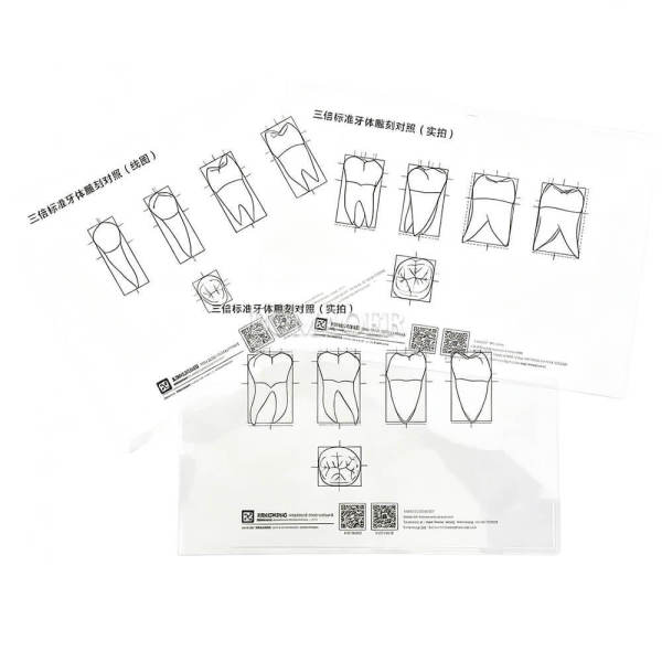11PCS Dental Matrix Film Practice Sheets, Dental Restorative Training Material