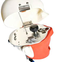 M1002 Simple Table Clamp Dental Phantom Head
