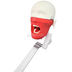 M1002-3 Simple Dental Phantom Head for Exam & Practice