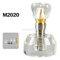 M2020 Clear Crystal Detachable Dental Implant Model