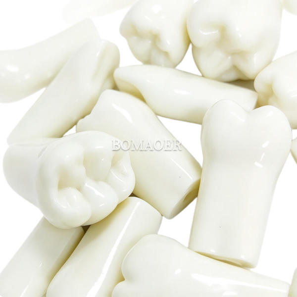 Standard Exam Preparation Dental Particles, Mixed Pack, 10 Pieces