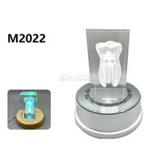 Molar Crystal Model Ornament, Molar Tooth Embedded Crystal for Dental Clinic Decor & Patient Gift