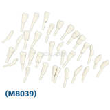 Tooth Preparation Practice Model m8039 Mixed Pack Ten Pieces