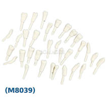 Tooth Preparation Practice Model m8039 Mixed Pack Ten Pieces