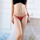 Women's 4 Colors Pack Sexy Brief G-String Embroidery Panties Cute Clothing Dresses Underwear Lingerie Gift for Girlfriend