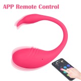 Upgraded Wireless Wearable Vibrator APP Smart Long Distance Remote Control Dildo Kegel Ball Adult Sex Toy for Women