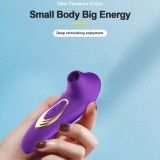 Women Handheld Sucking Vibrator Rose Sucker Mini Oral Stimulator Nipples Clit Stimulation Powerful Rechargeable 5 Sucking & Vibrating Modes Compact Adult Foreplay Sex Toy Gift For Girlfriend Wife