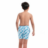 Taddlee Boy Swim Trunks Quick Drying Swimsuit Swimwear Bathing Beach Boardshorts