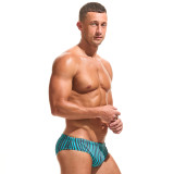 Taddlee Men Swimwear Swim Briefs Bikini Board Surf Shorts Boxer Trunks Swimsuits