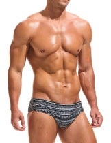 Taddlee Men Swimwear Swim Briefs Bikini Board Surf Shorts Boxer Trunks Swimsuits