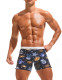 Taddlee Mens Swimwear Swim Boxer Brief Bikini Trunks Pocket Square Cut Swimsuits