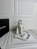 2色/ 15CM/ Chanelシャネルバッグスーパーコピー227