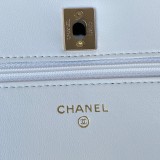2色/ 19CM/ ChanelシャネルバッグスーパーコピーAP1450